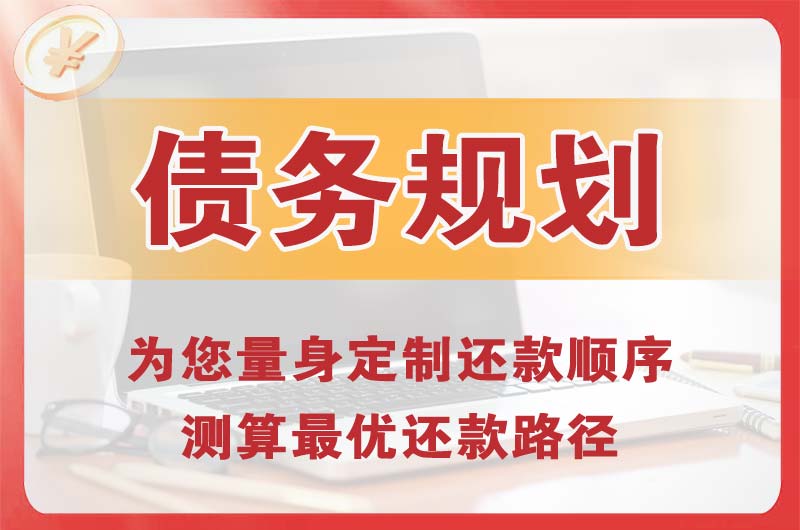 蓝田债务规划